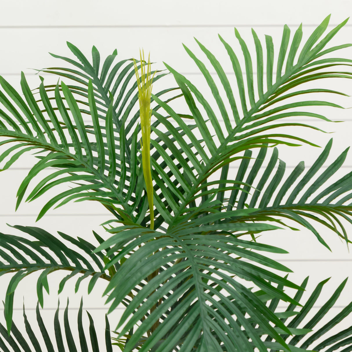 5’ Areca Artificial Palm Tree UV Resistant (Indoor/Outdoor)-Parc Decor