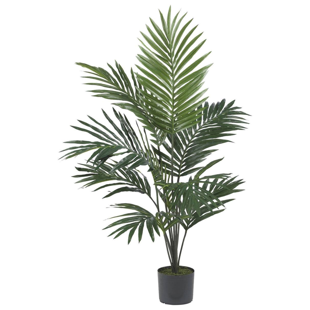 5' Artificial Kentia Palm Silk Tree-Parc Decor