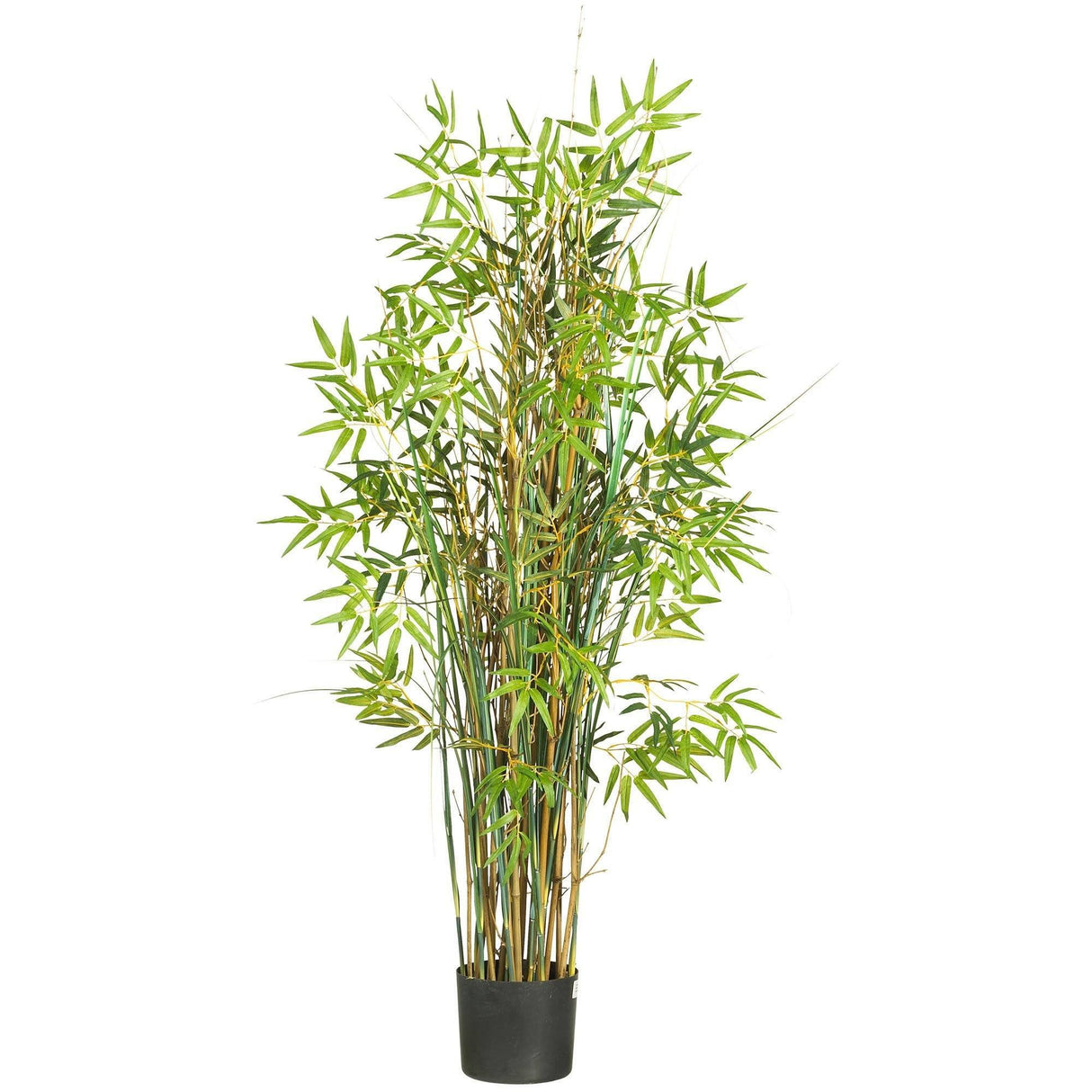 5' Bamboo Grass Silk Plant-Parc Decor