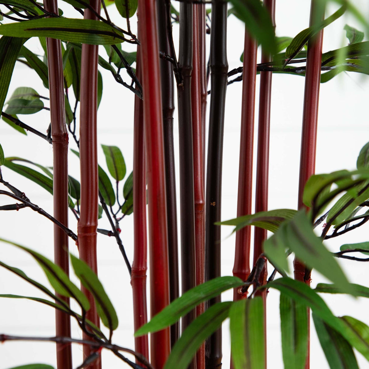 5’ Bamboo Silk Tree w/Planter-Parc Decor