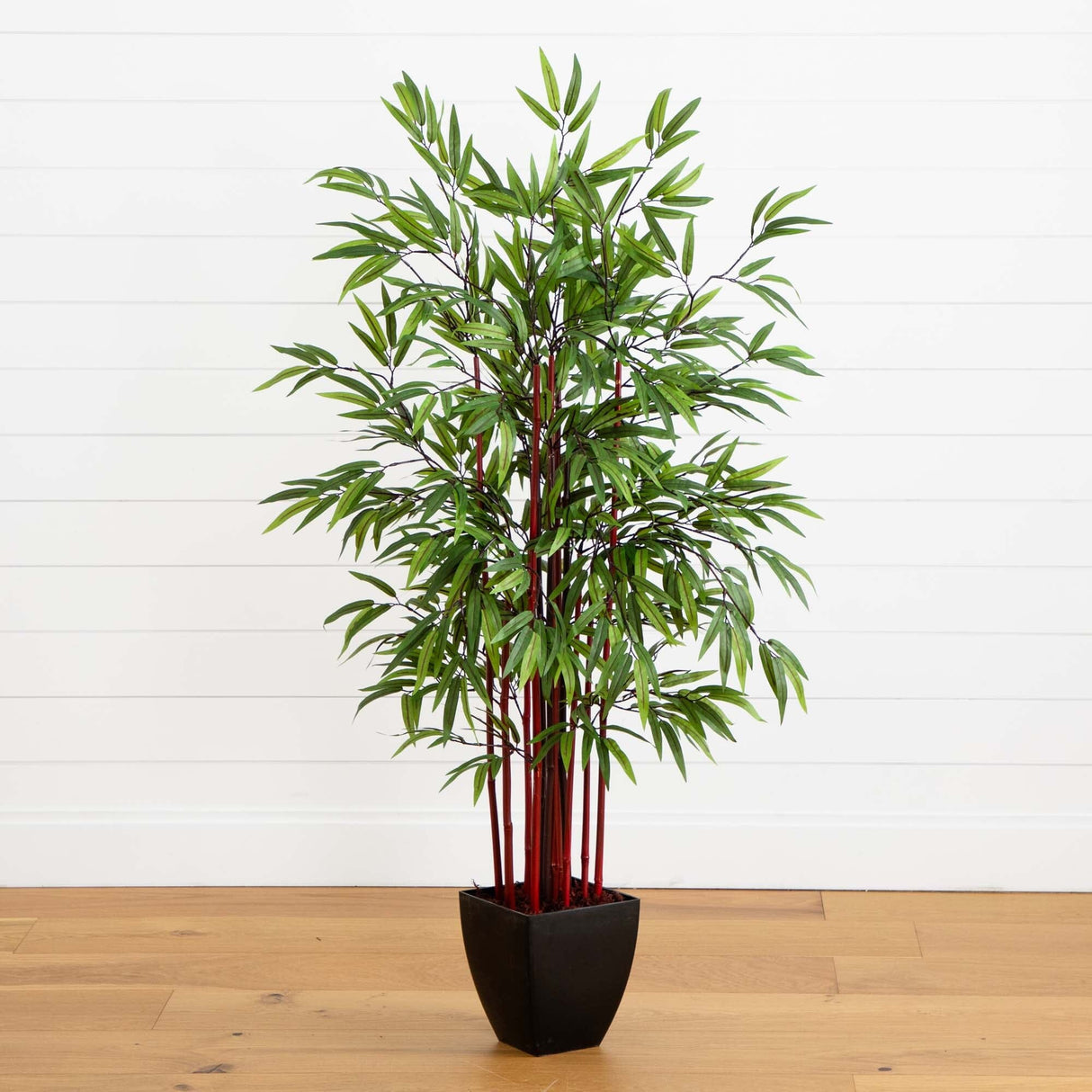 5’ Bamboo Silk Tree w/Planter-Parc Decor