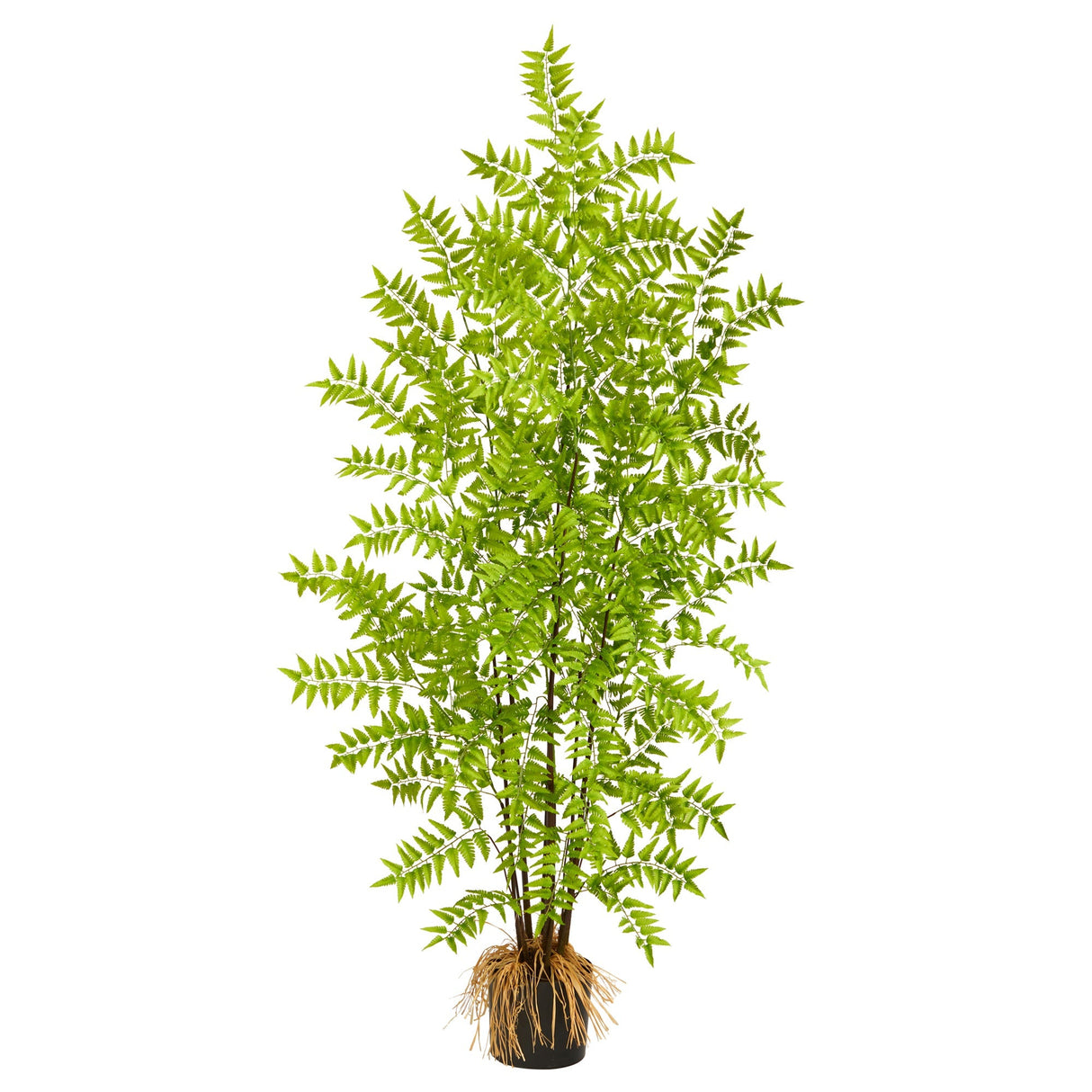 5’ Bracken Fern Artificial Tree-Parc Decor