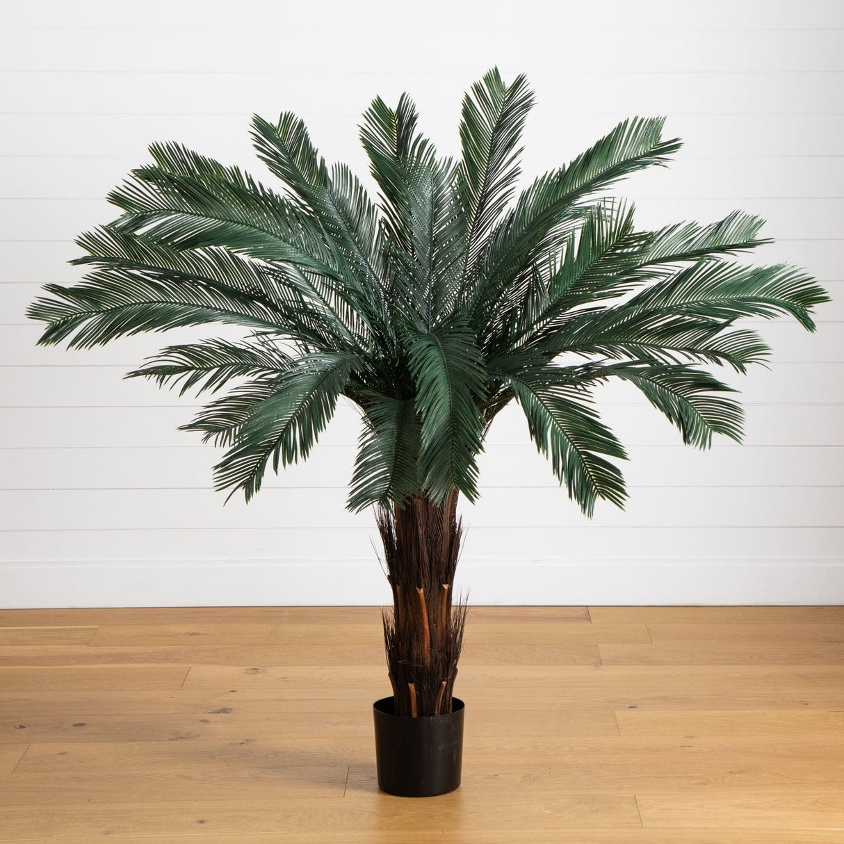 5’ Cycas Tree UV Resistant (In-door/Out-Door)-Parc Decor