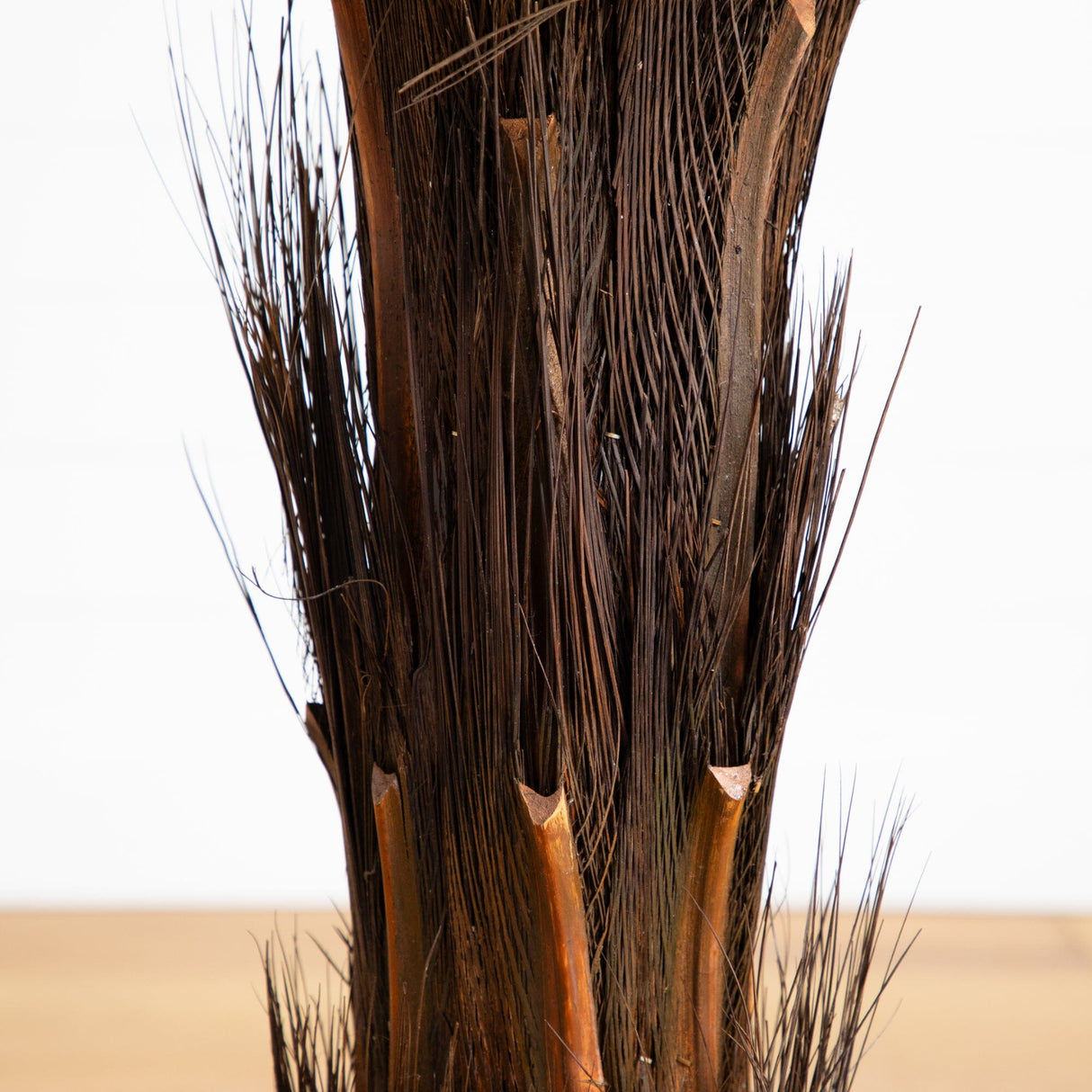 5’ Cycas Tree UV Resistant (In-door/Out-Door)-Parc Decor