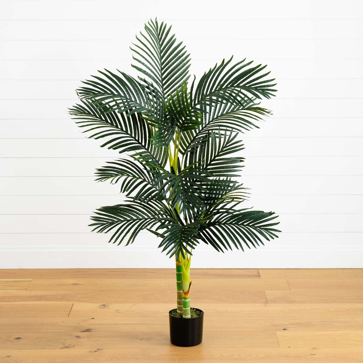 5’ Double Stalk Golden Cane Artificial Palm Tree-Parc Decor