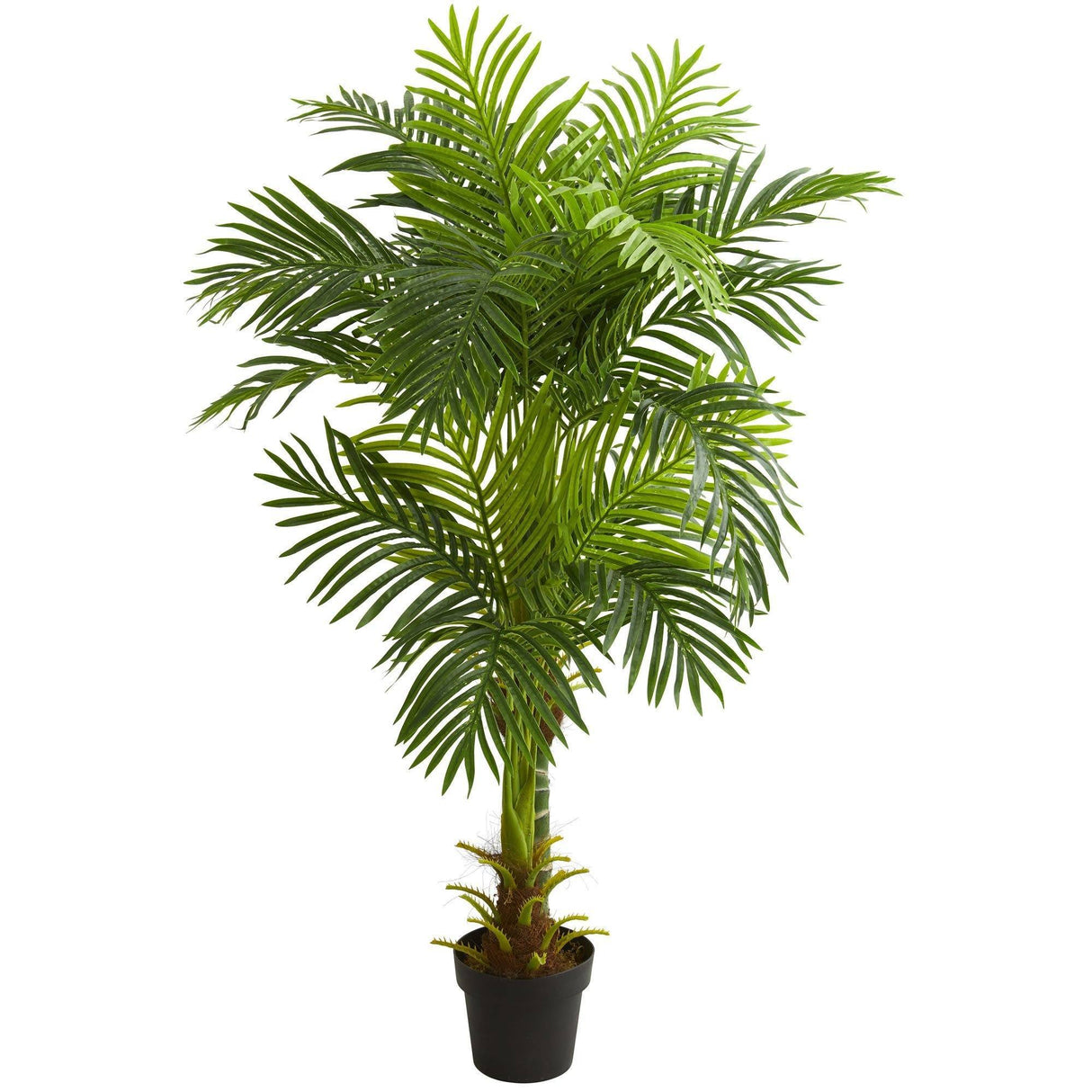 5’ Double Stalk Hawaii Palm Artificial Tree-Parc Decor