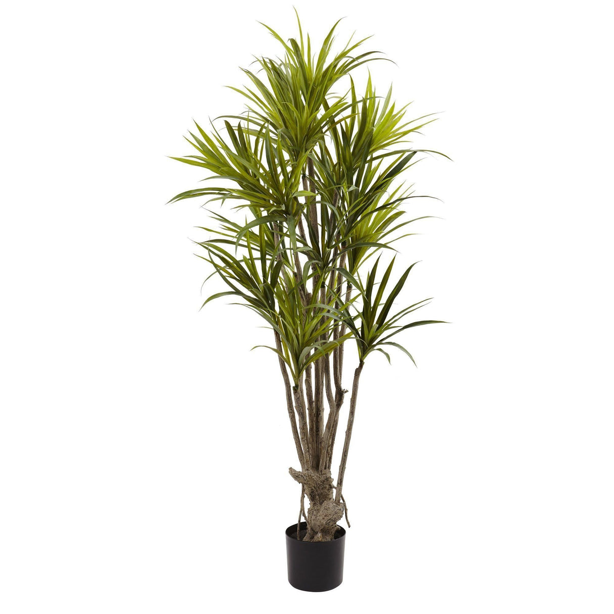5’ Dracaena Silk Tree-Parc Decor