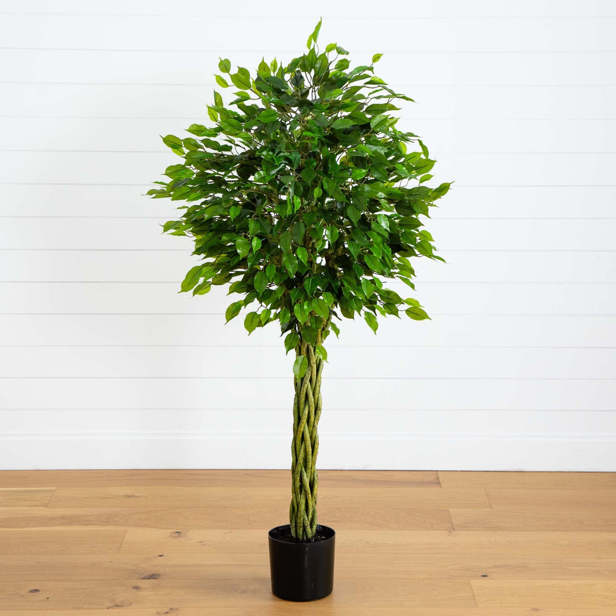 5' Ficus Artificial Tree with Woven Trunk UV Resistant (Indoor/Outdoor)-Parc Decor