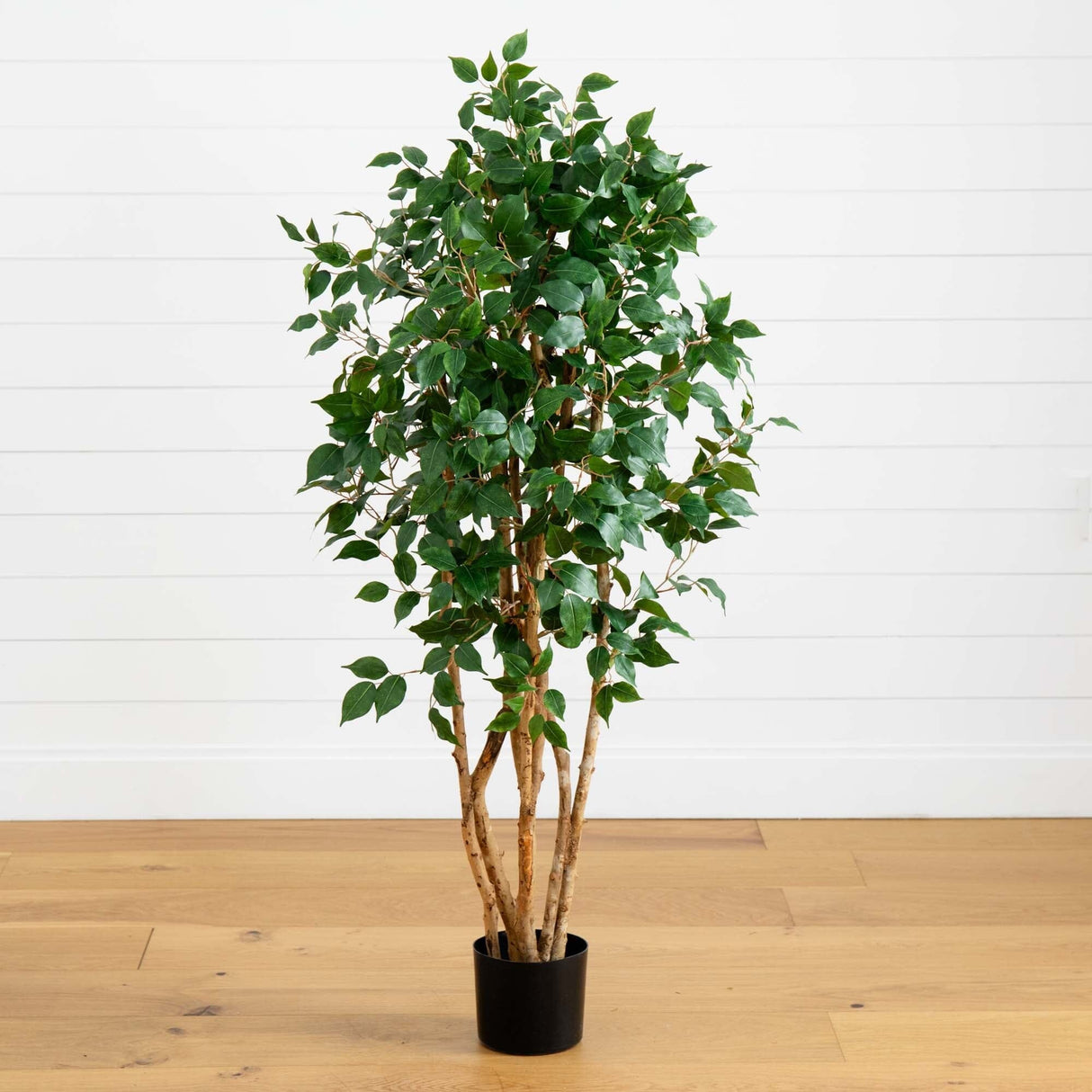 5' Ficus Bushy Silk Tree-Parc Decor
