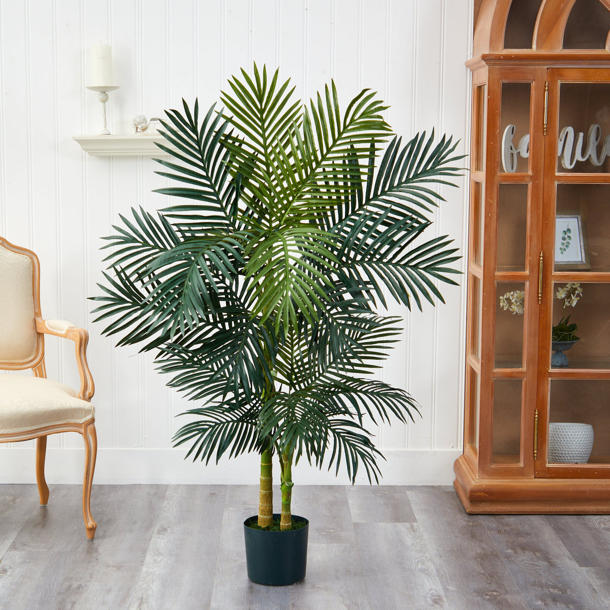 5’ Golden Cane Palm Tree-Parc Decor