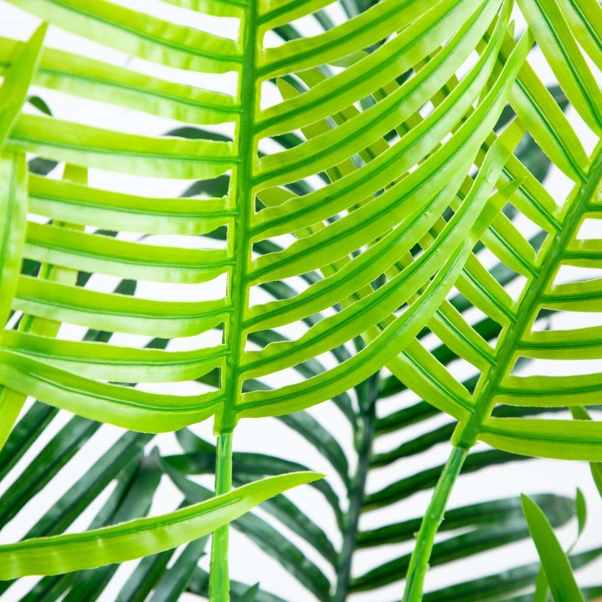 5’ Hawaii Palm Artificial Tree-Parc Decor