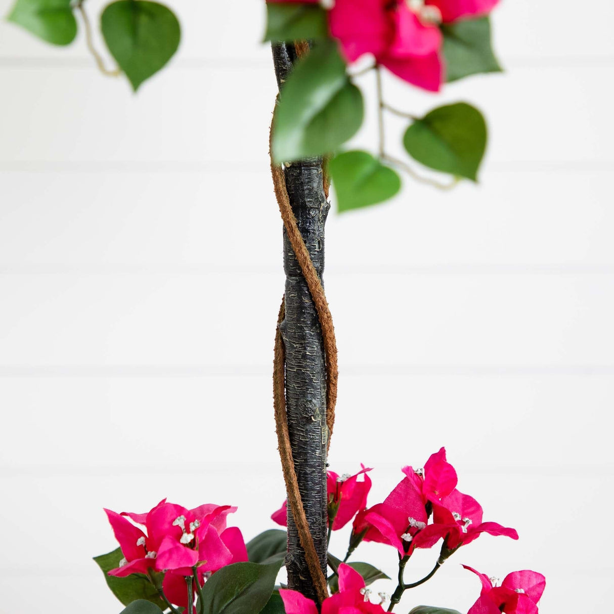 5' Mini Bougainvillea Topiary-Parc Decor