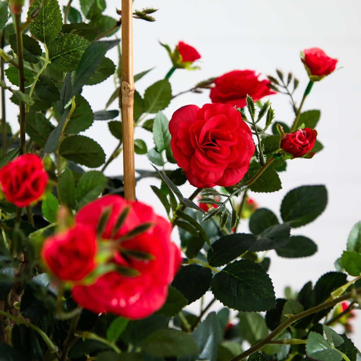 5' Mini Rose Silk Tree-Parc Decor