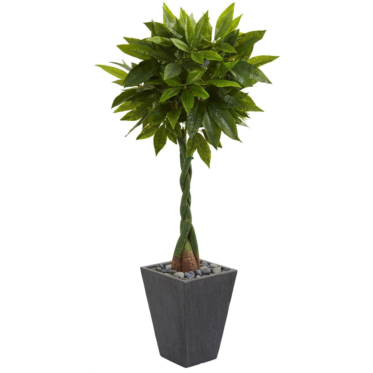 5’ Money Artificial Tree in Slate Planter (Real Touch)-Parc Decor