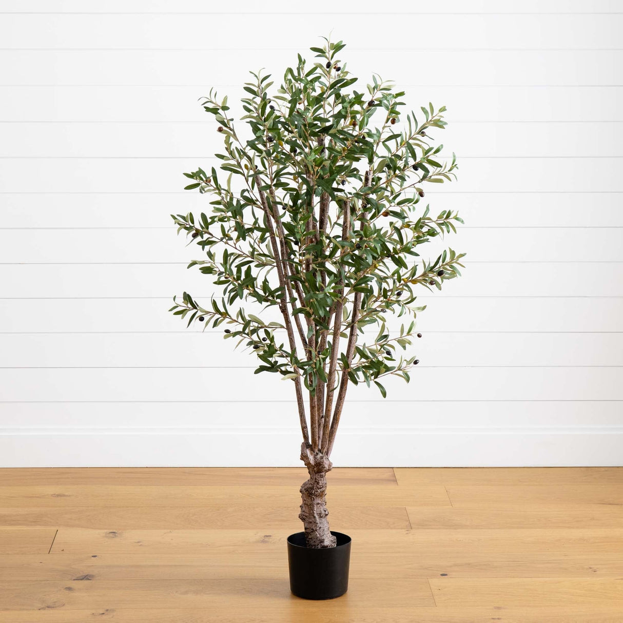 5' Olive Silk Tree-Parc Decor