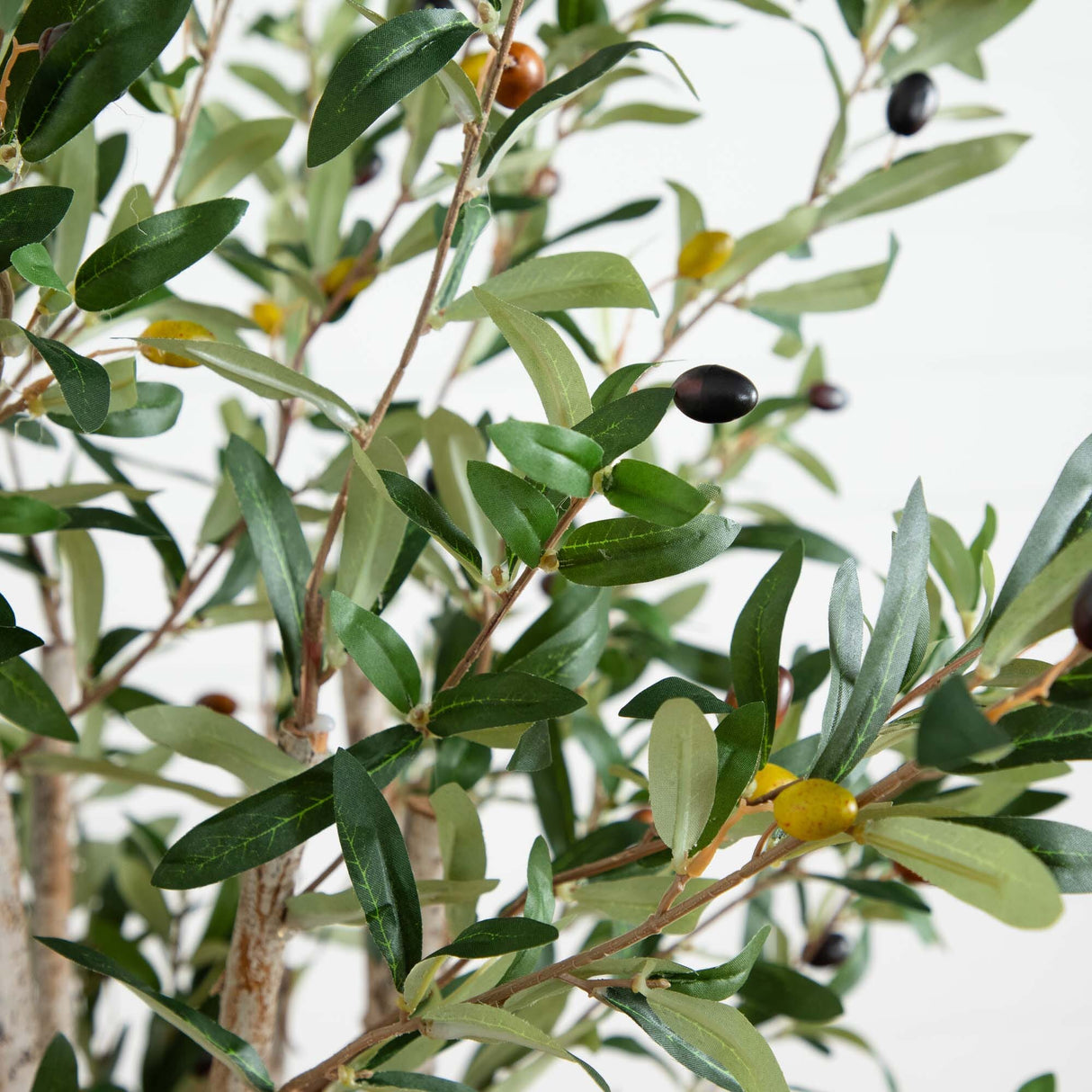 5’ Olive Tree in Terracotta Planter-Parc Decor