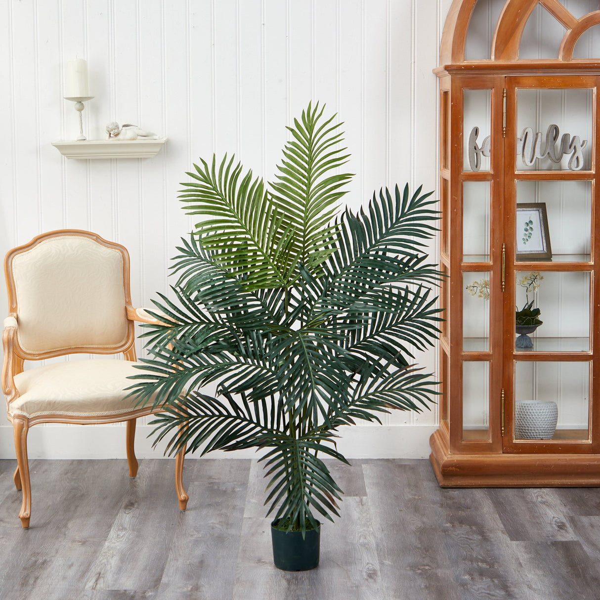 5' Paradise Palm-Parc Decor