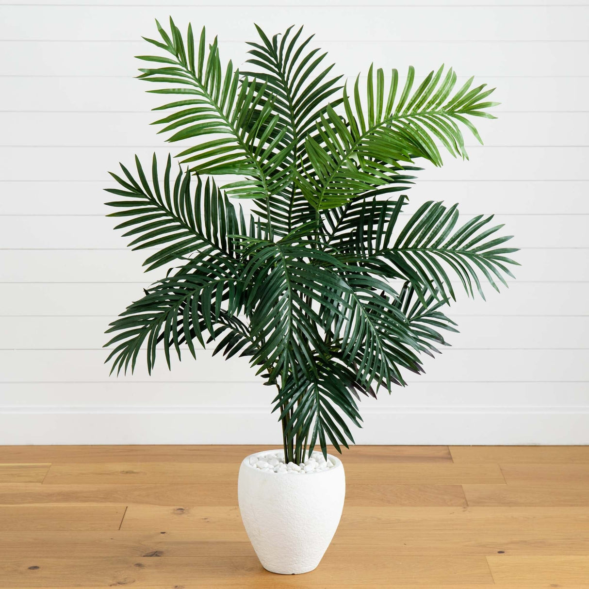 5' Paradise Palm-Parc Decor