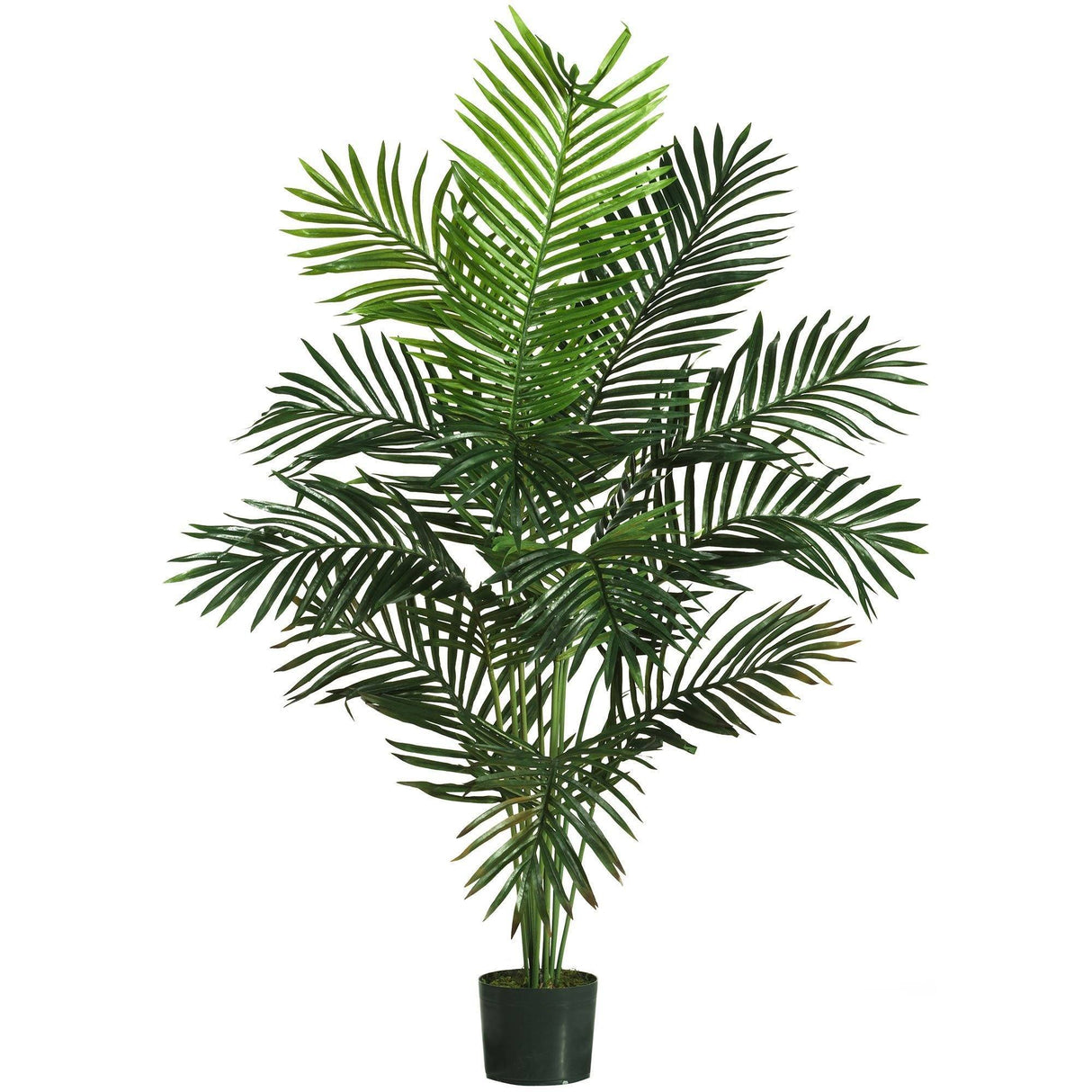 5' Paradise Palm-Parc Decor