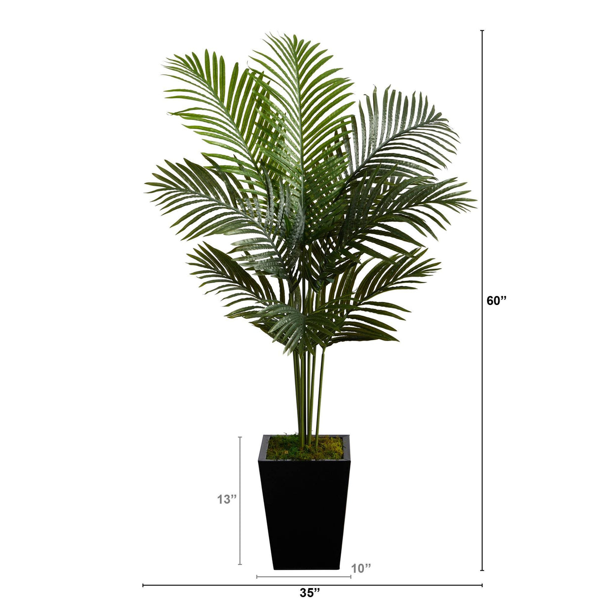 5’ Paradise Palm Artificial Tree in Black Metal Planter-Parc Decor