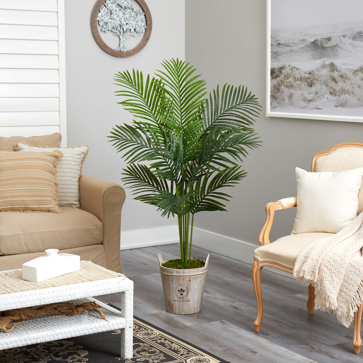 5’ Paradise Palm Artificial Tree in Farmhouse Planter-Parc Decor