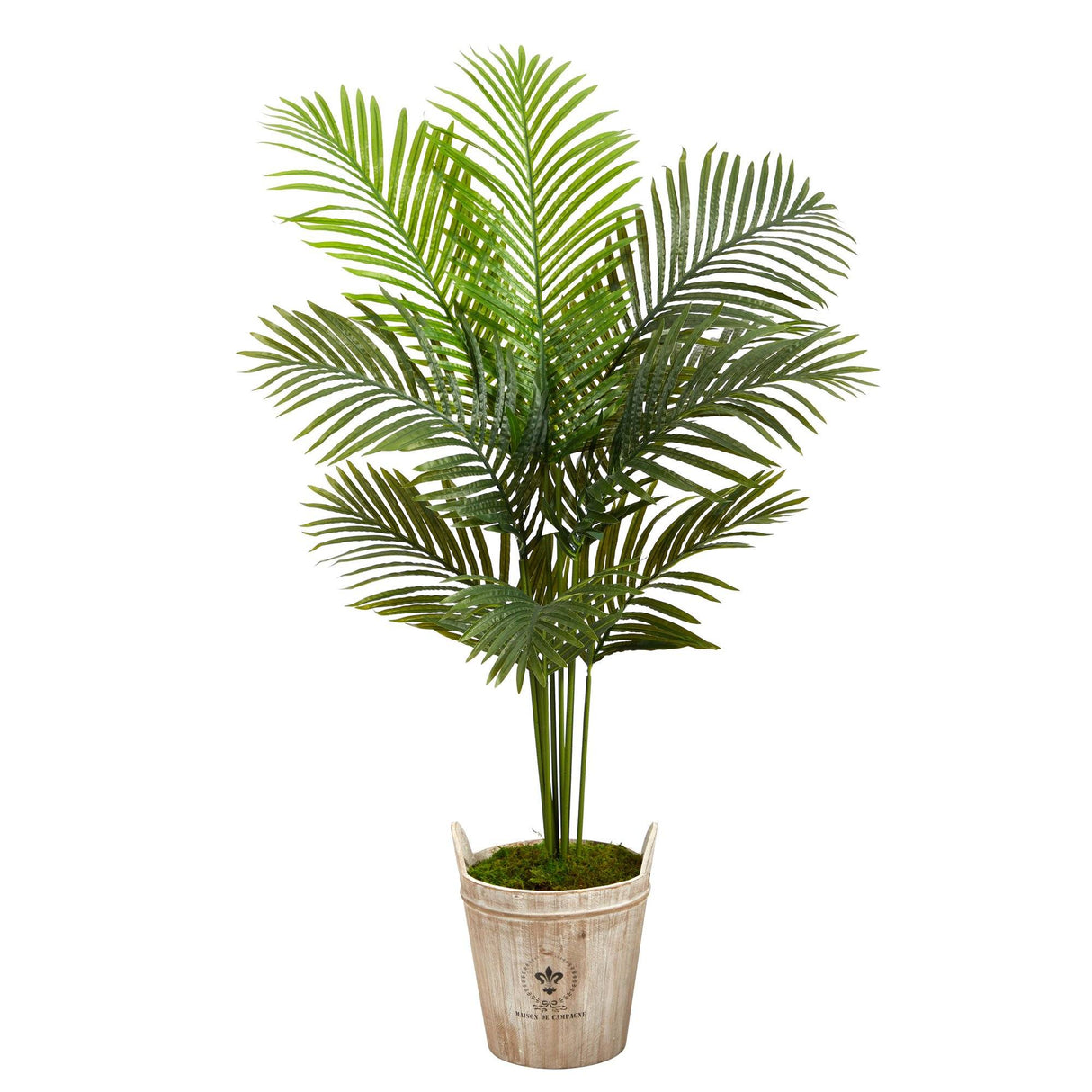 5’ Paradise Palm Artificial Tree in Farmhouse Planter-Parc Decor