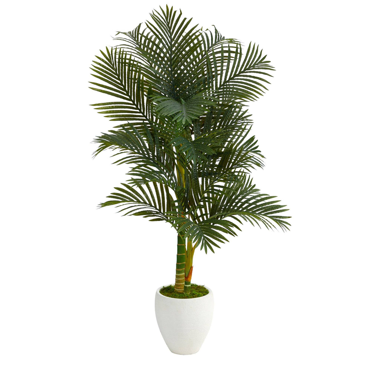 5’ Paradise Palm Artificial Tree in White Planter with Faux Moss-Parc Decor