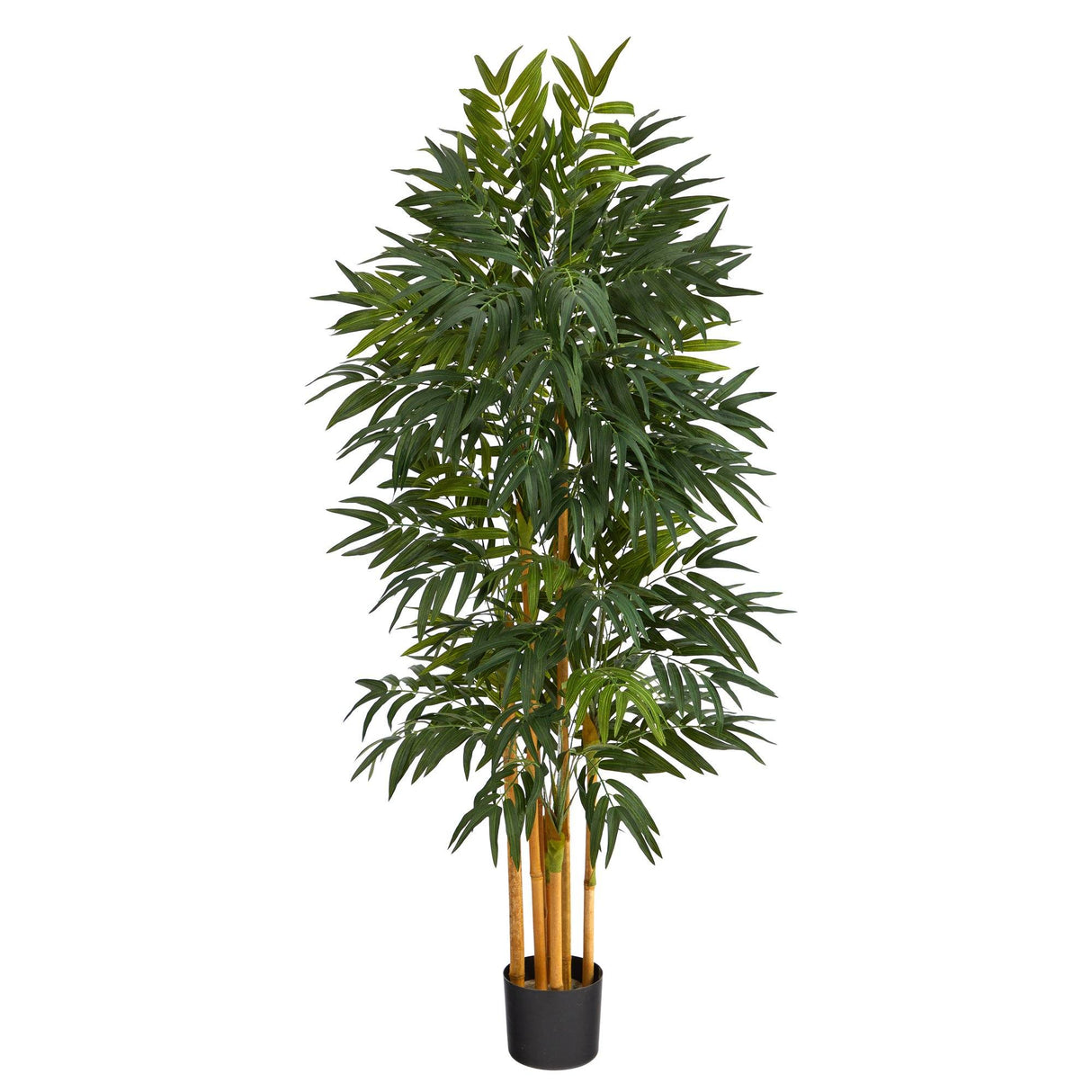 5’ Phoenix Palm Artificial tree with Natural Trunk-Parc Decor