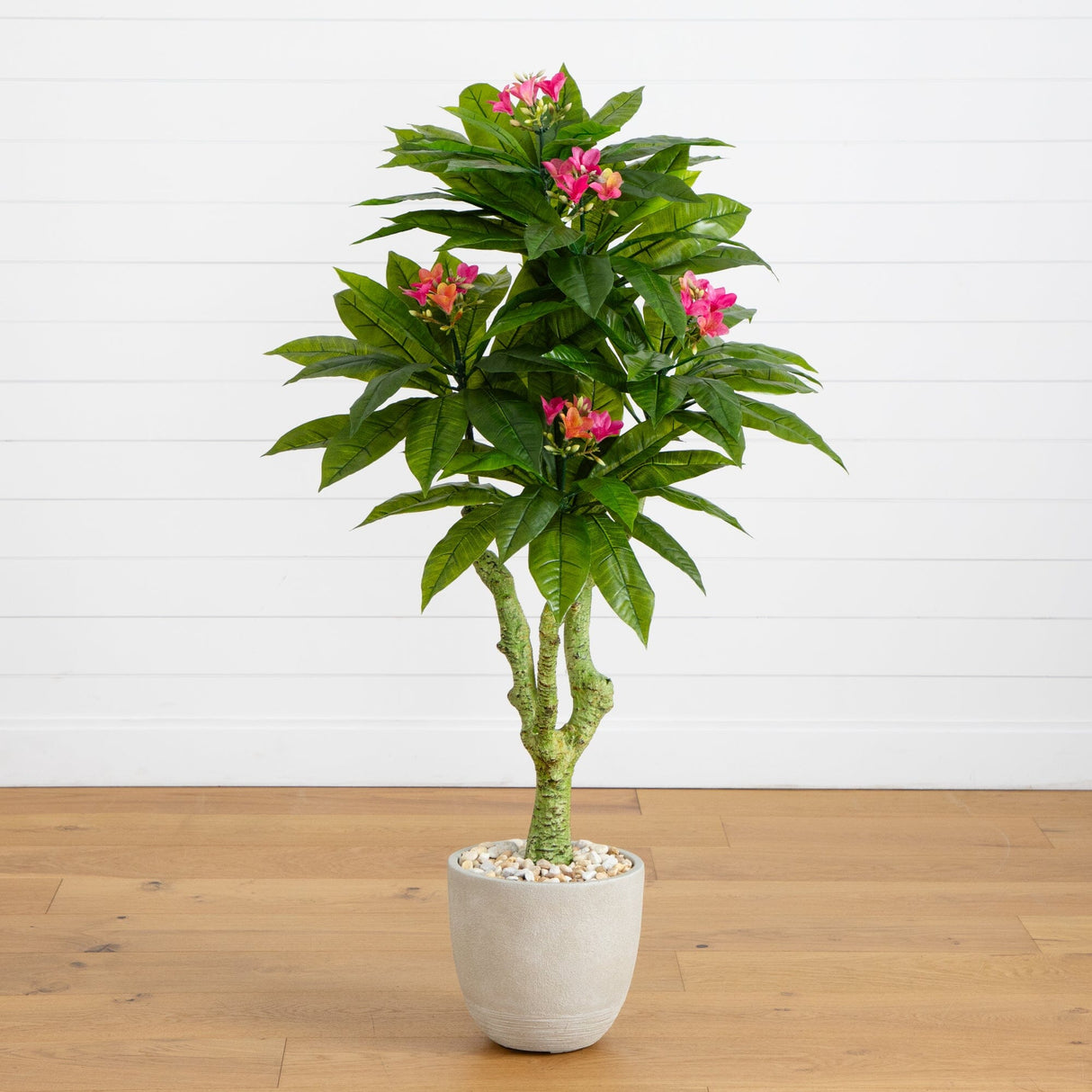 5’ Plumeria Artificial Tree in Decorative Planter (Indoor/Outdoor)-Parc Decor