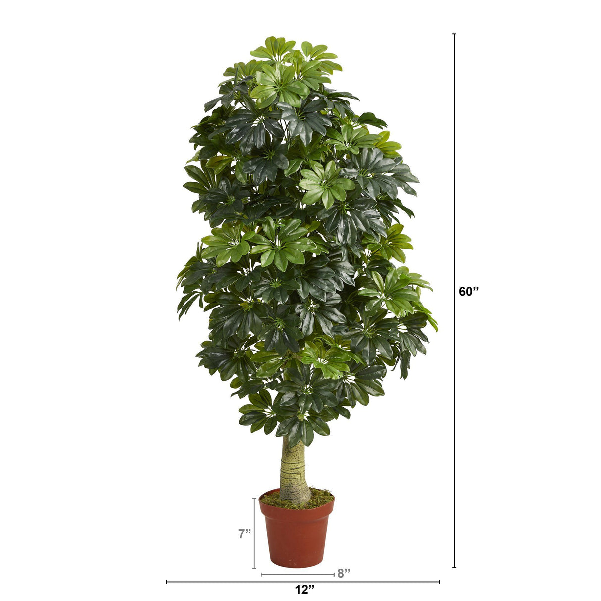 5' Schefflera Artificial Tree (Real Touch)-Parc Decor