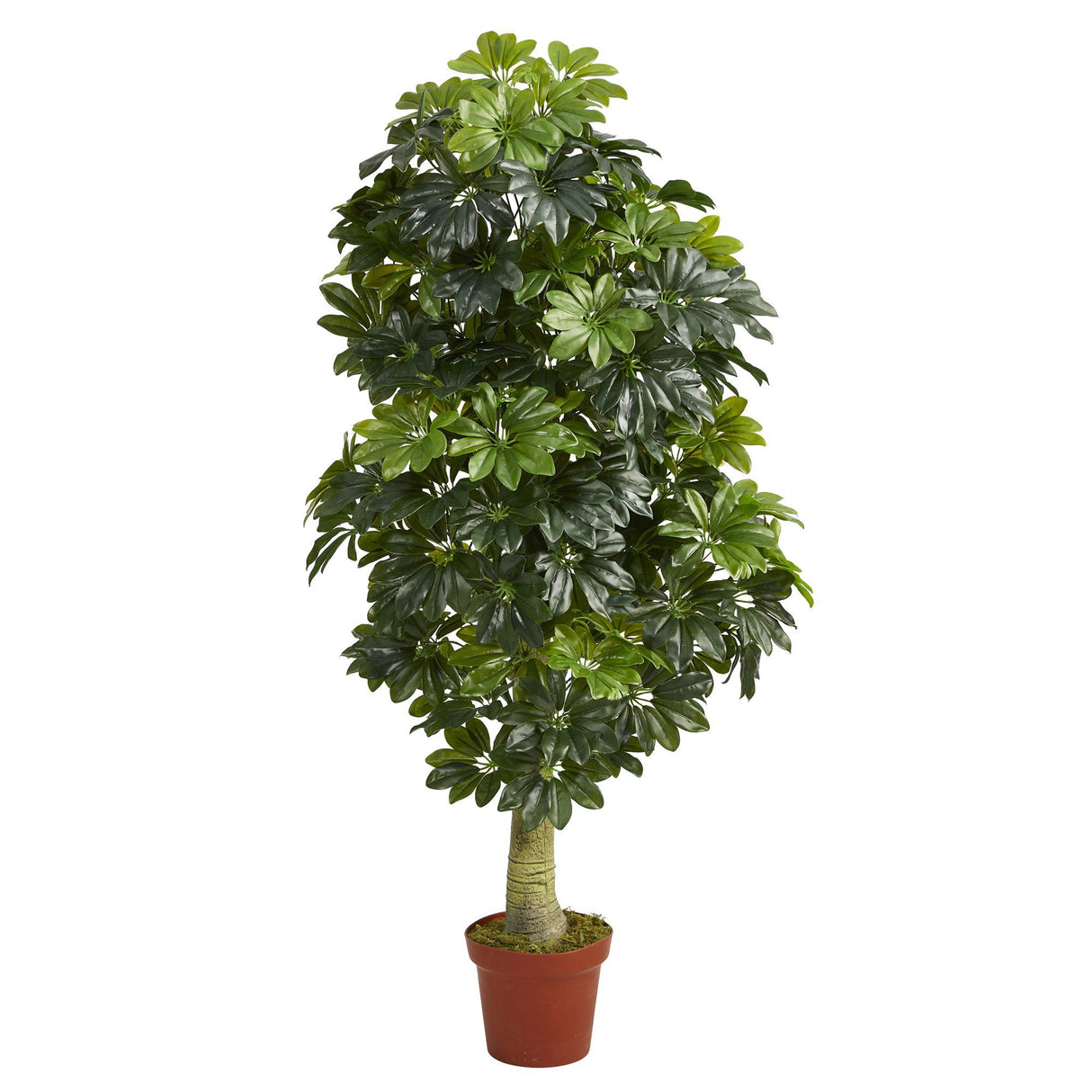 5' Schefflera Artificial Tree (Real Touch)-Parc Decor