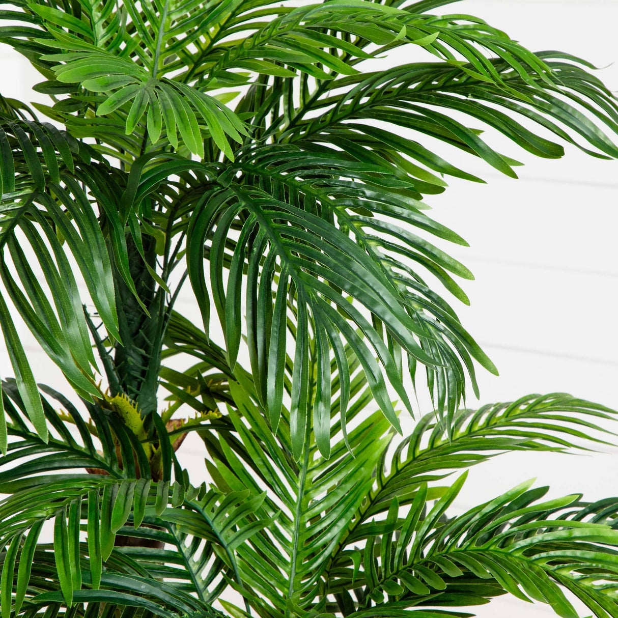 5’ Triple Phoenix Palm Artificial Tree-Parc Decor