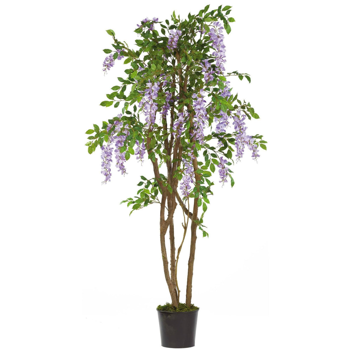 5' Wisteria Silk Tree-Parc Decor
