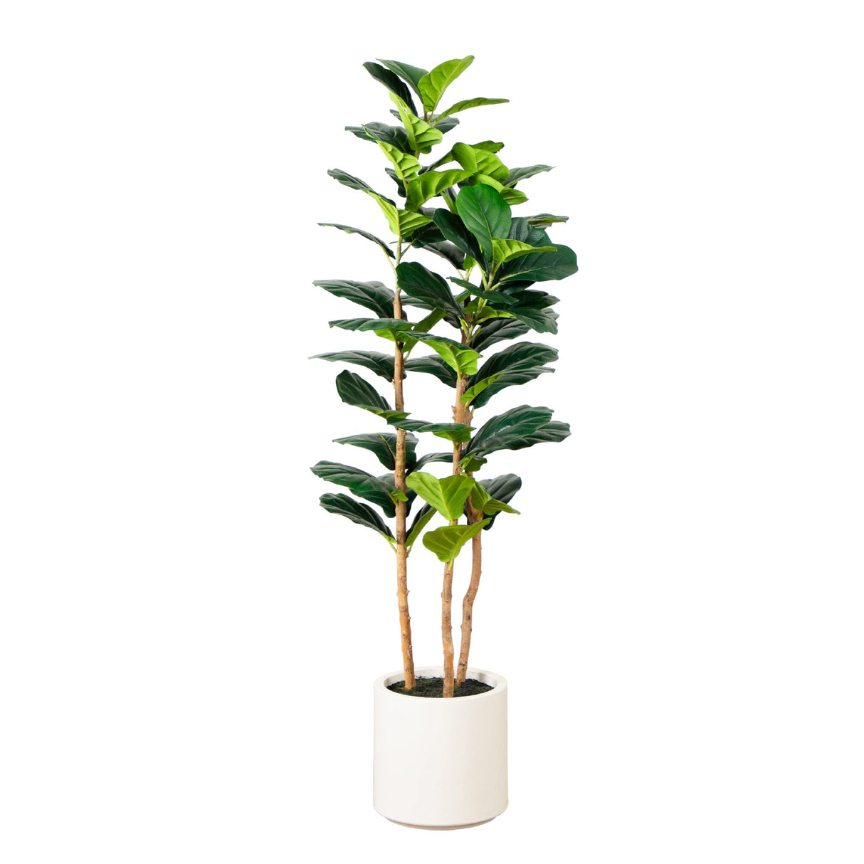 5’ Artificial Fiddle Leaf Tree in Decorative White Planter-Tree-Parc Decor