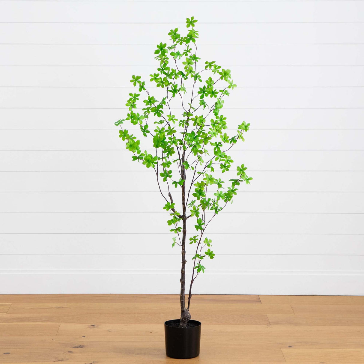 5’ Artificial Minimalist Enkianthus Tree-Tree-Parc Decor