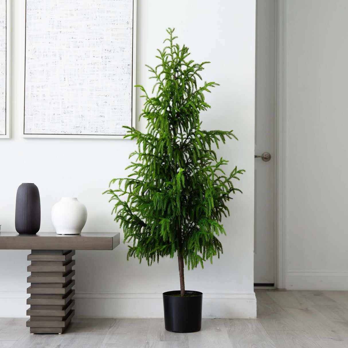 5' Artificial Norfolk Pine Tree-Christmas Tree-Parc Decor