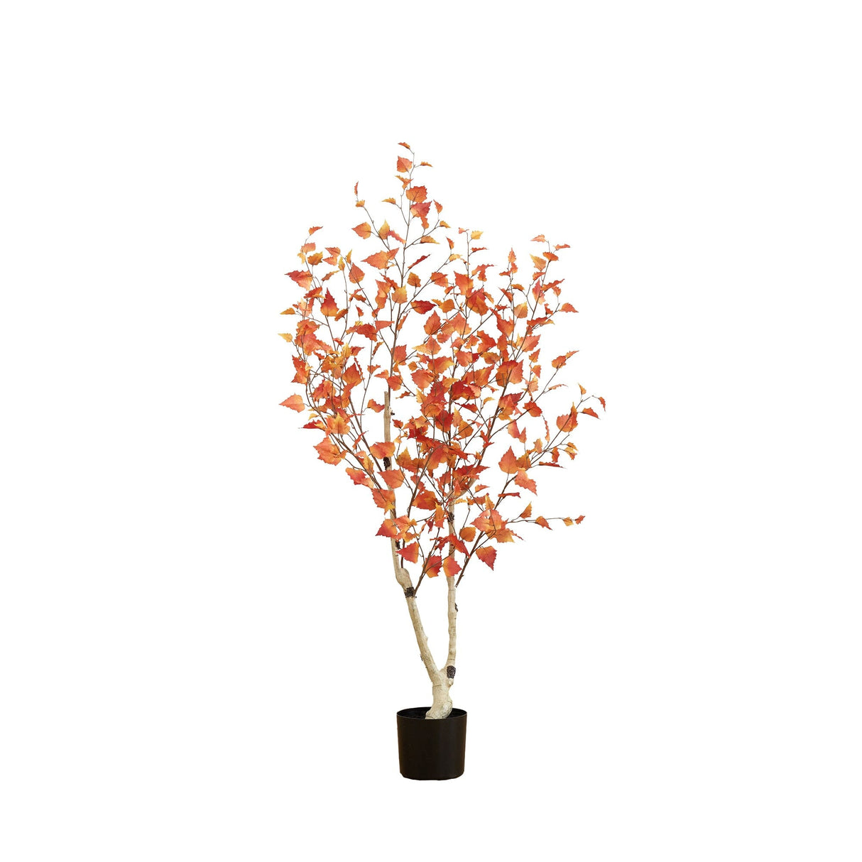 5’ Autumn Birch Artificial Fall Tree-Tree-Parc Decor