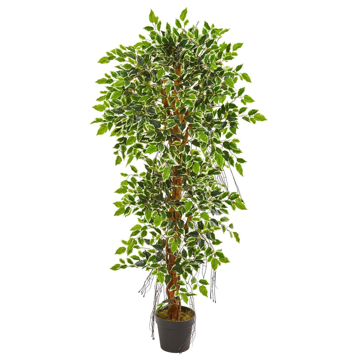 5’ Elegant Ficus Artificial Tree-Tree-Parc Decor