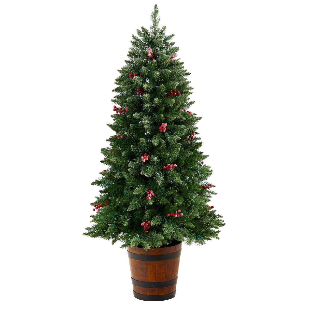 5' Frosted Colorado Aspen Pre-Lit Porch Artificial Christmas Tree-Christmas Tree-Parc Decor