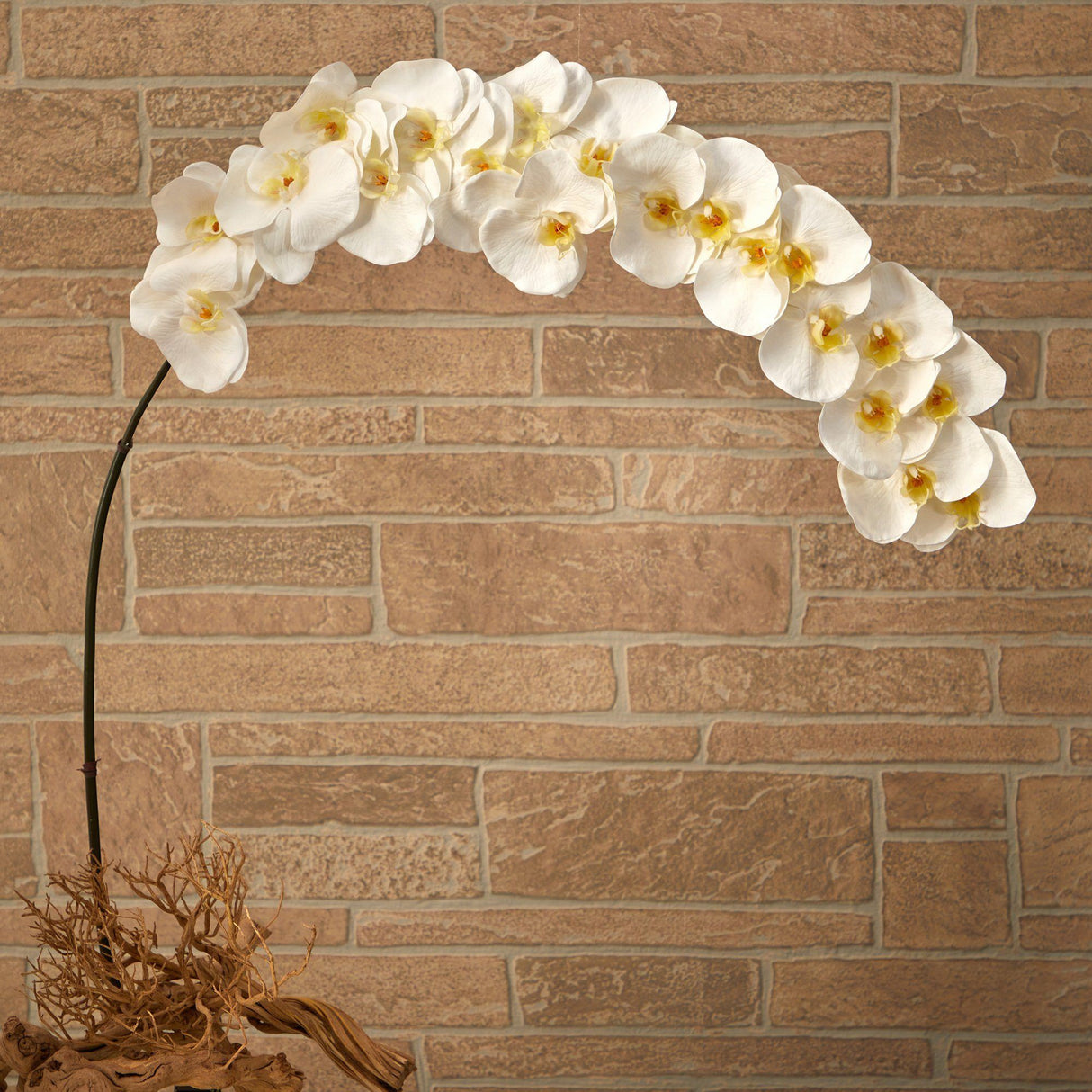5’ Large Phalaenopsis Orchid Artificial Flower (Set of 2)-Stem-Parc Decor
