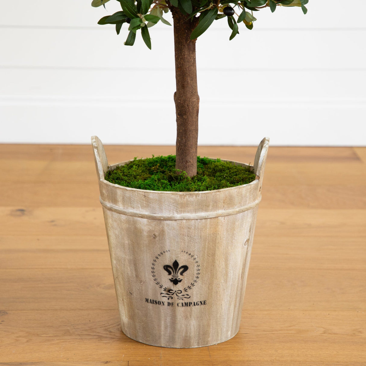 5’ Olive Tree in Farmhouse Planter-Tree-Parc Decor