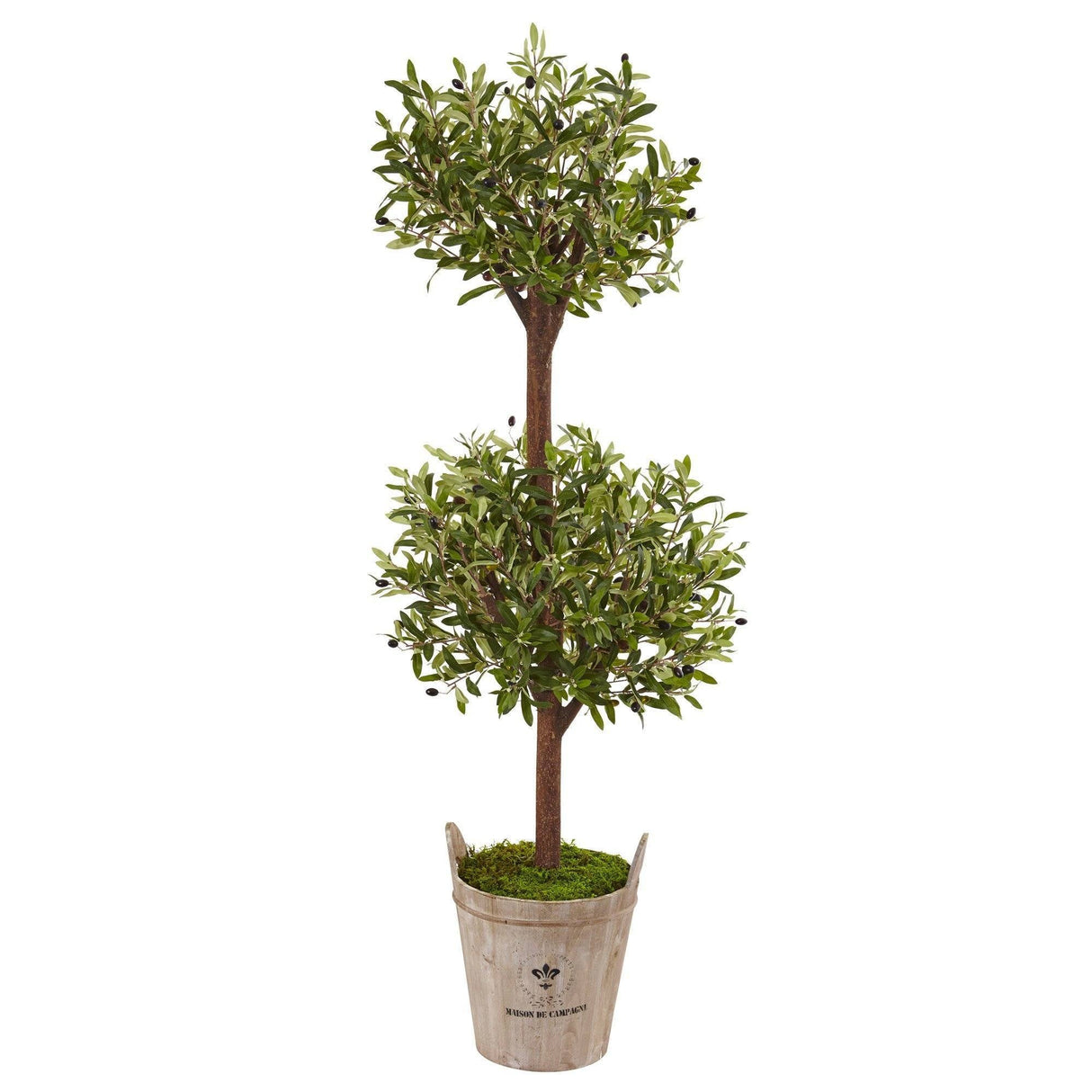 5’ Olive Tree in Farmhouse Planter-Tree-Parc Decor