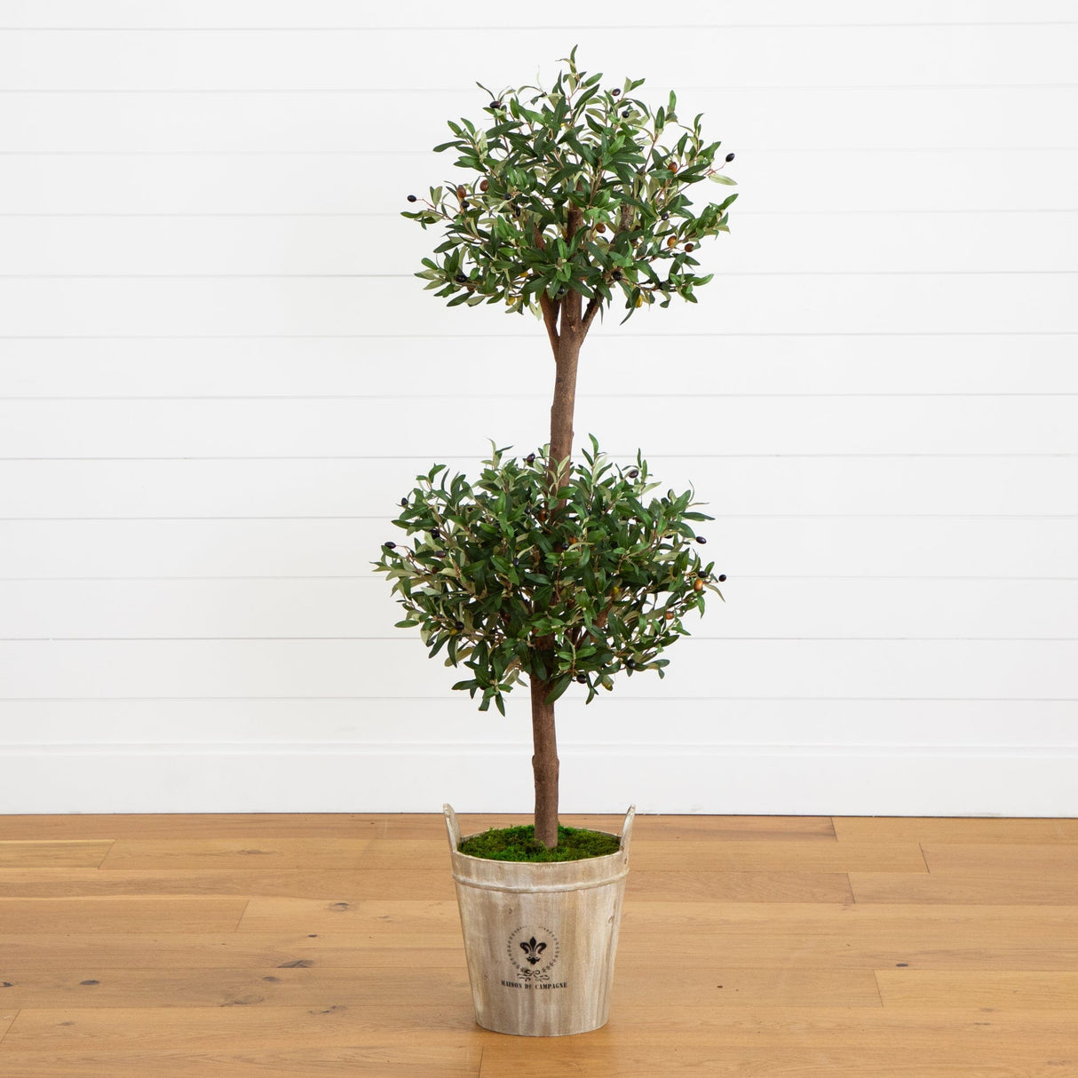 5’ Olive Tree in Farmhouse Planter-Tree-Parc Decor
