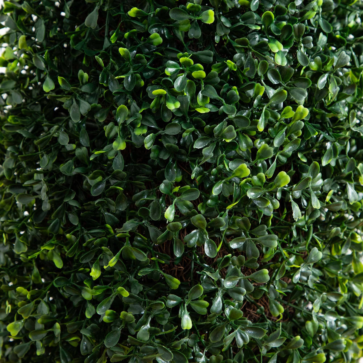 50” Boxwood Topiary with Gray Cylindrical Planter UV Resistant (Indoor/Outdoor)-Parc Decor