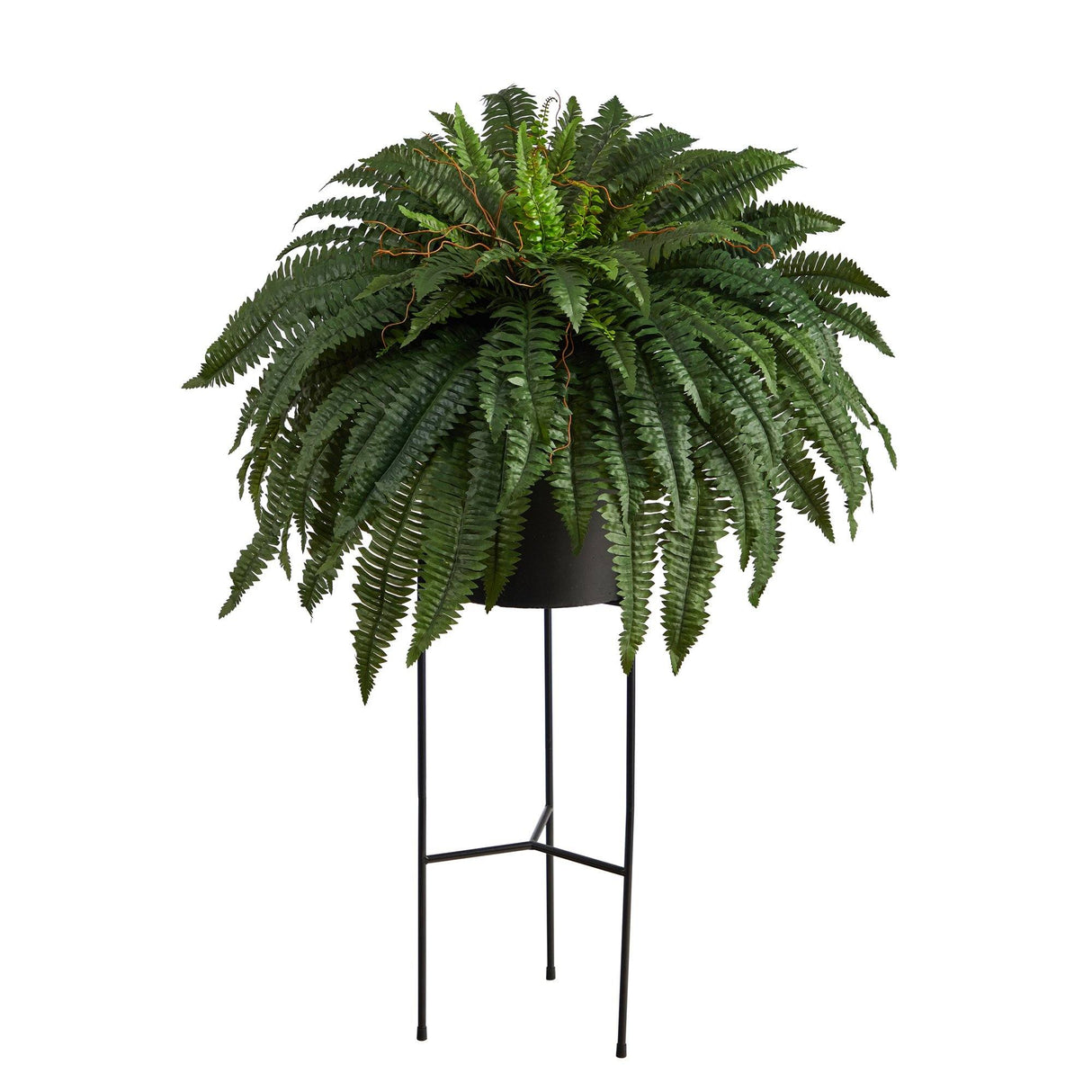 51” Boston Fern Artificial Plant in Black Planter with Stand-Parc Decor