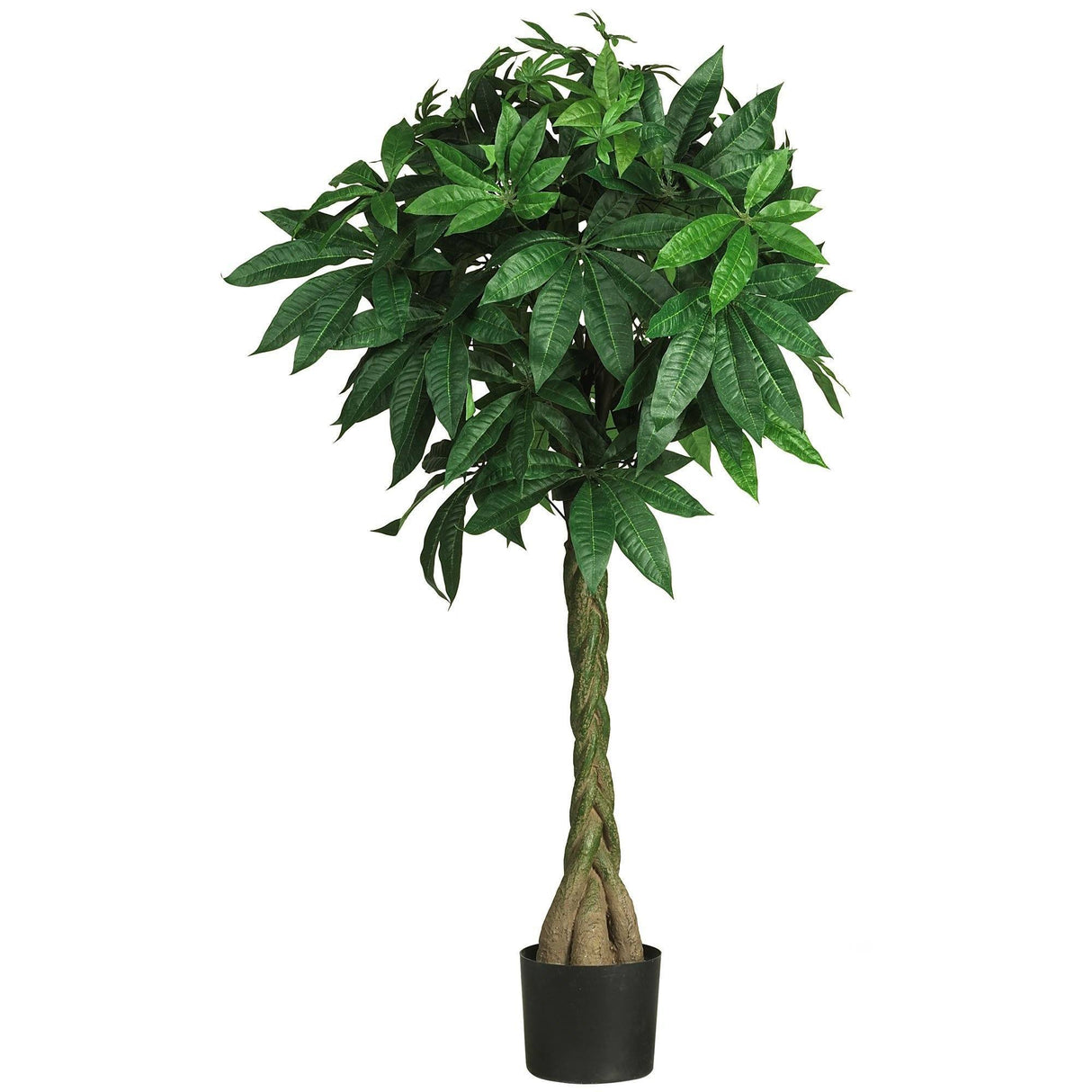 51" Money Silk Tree"-Parc Decor