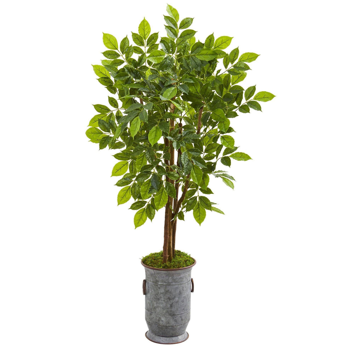 55” River Birch Artificial Tree in Decorative Planter-Parc Decor