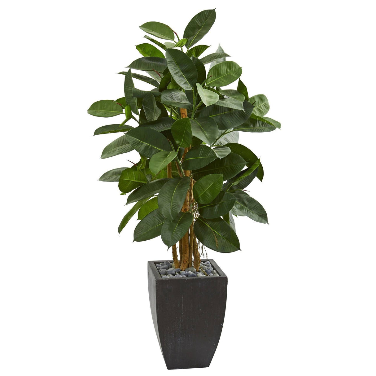 56” Artificial Rubber Tree in Black Planter-Parc Decor