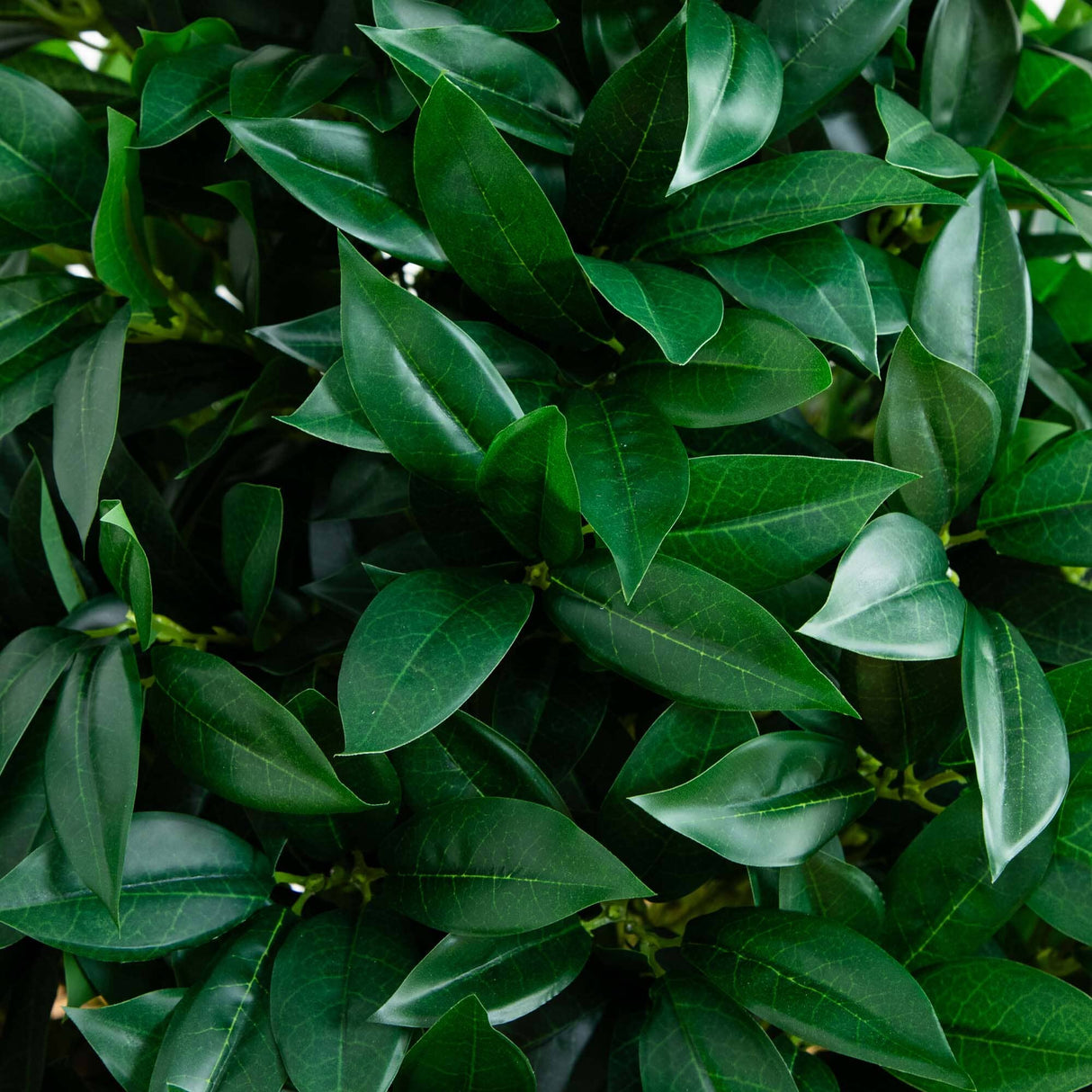 56” Bay Leaf Cone Topiary Artificial Tree UV Resistant in Black Planter (Indoor/Outdoor)-Parc Decor