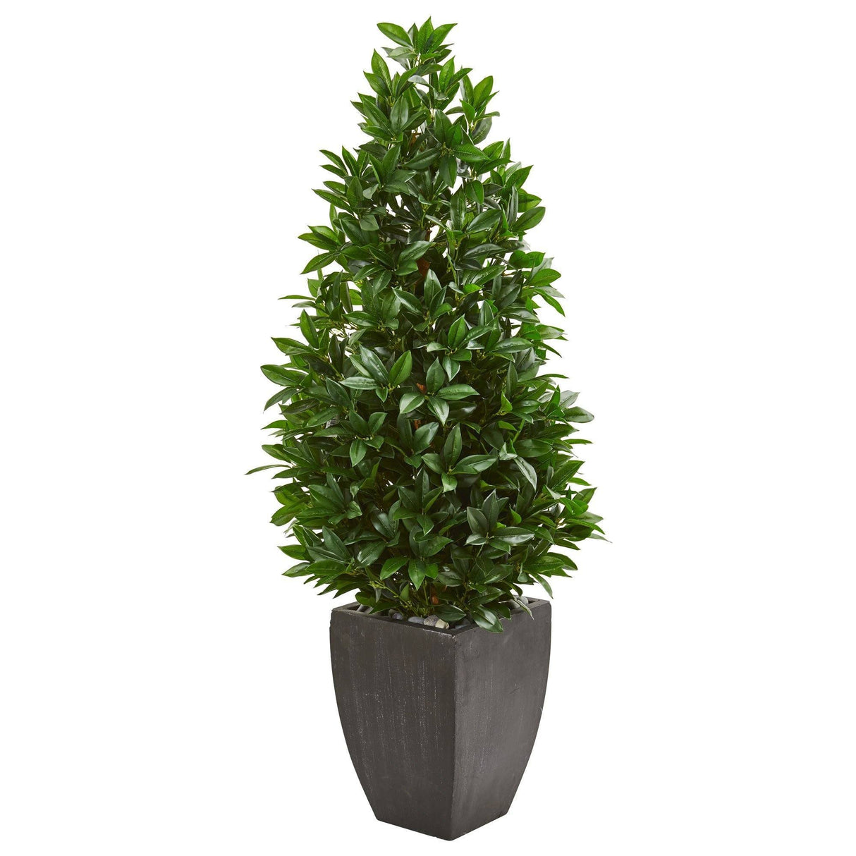 56” Bay Leaf Cone Topiary Artificial Tree UV Resistant in Black Planter (Indoor/Outdoor)-Parc Decor